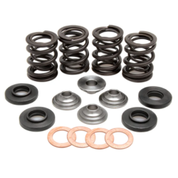 KW Complete Valve Spring Kit