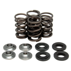 KW Complete Valve Spring Kit