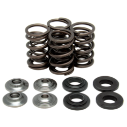 KW Complete Valve Spring Kit