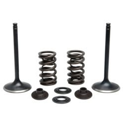 KW Stainless Inlet Valve Kit-Inc Valves