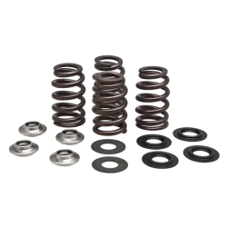 KW Complete Valve Spring Kit