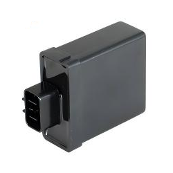 MSD CDI Unit-YFS200 ATV 03-06