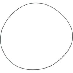 Clutch Cover O'Ring-TRX450R/ER