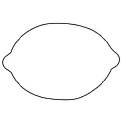 Clutch Cover O'Ring-KTM/HSQ250/300