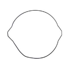 Clutch Cover O'Ring-YZ250 99-25/YZ250X