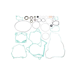 Complete Gasket Set-Beta RR250/300