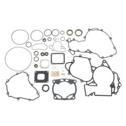 Complete Gasket Set-250/300 SE-R 14-18