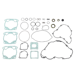Complete Gasket Set-SX300/XC300/EXC300 TBI(Includes Oil Seals)