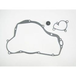 Water Pump Gasket Set-RM250 03-09