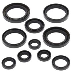 Engine Oil Seal Kit-TRX450R ATV 04-05