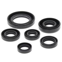 Engine Oil Seal Kit-TRX300EX/TRX300X