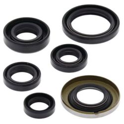 Engine Oil Seal Kit-TRX400EX/TRX400X