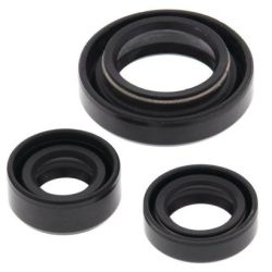 Engine Oil Seal Kit-LT-Z250 ATV