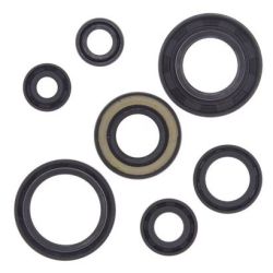Engine Oil Seal Kit-YFS200 Blaster