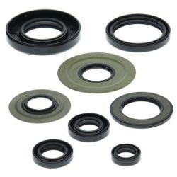 Engine Oil Seal Kit-YFM350R Raptor