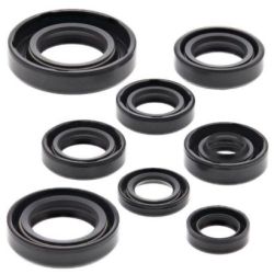 Engine Oil Seal Kit-CR80R/CR85R