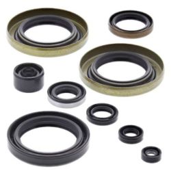 Engine Oil Seal Kit-KX500 89-04