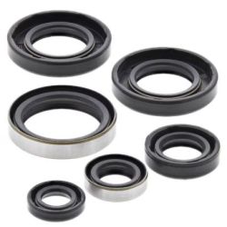 Engine Oil Seal Kit-SX65 01-08
