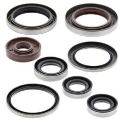 Engine Oil Seal Kit-KTM 250 4 Stroke