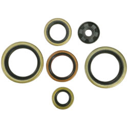 Engine Oil Seal Kit-KTM/Husqvarna 125/150