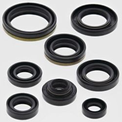 Engine Oil Seal Kit-RM80 91-01