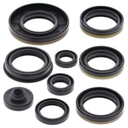 Engine Oil Seal Kit-RM250 03-05