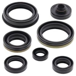 Engine Oil Seal Kit-RM125 04-09