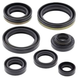 Engine Oil Seal Kit-RM125 01-03