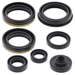 Engine Oil Seal Kit-RM250 06-09