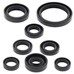 Engine Oil Seal Kit-YZF/WRF400/426