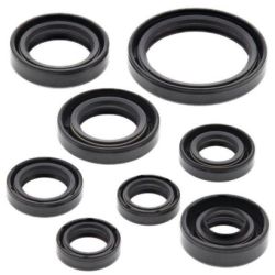 Engine Oil Seal Kit-YZF/WRF450