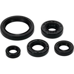 Engine Oil Seal Kit-YZF/WRF/YZ250FX